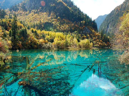 8D JIUZHAIGOU/HUANGLONG/MT.EMEI/LESHAN,CHENGDU