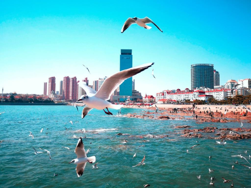8D  CHARMING SHANDONG + FLORA TOUR