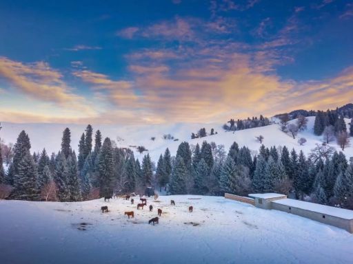 9D7N SILK ROAD TRAILS: URUMQI TO NALATI SNOW RETREAT