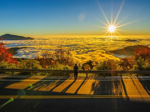 6D5N TAIWAN ALISHAN DISCOVERY
