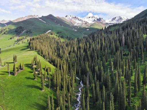 9D8N BEAUTY OF XINJIANG