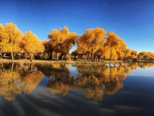 11D10N SOUTHERN XINJIANG: ICE MOUNTAINS & GOLDEN POPLARS