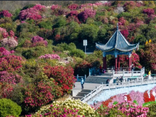 8D 6N ENCHANTING GUIZHOU JOURNEY