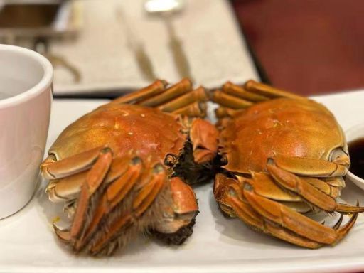 9D7N  GOURMET AND FLAVOR IN MODERN SHANGHAI,JIANGNAN