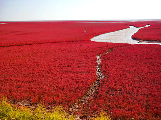9D7N RED BEACH/MT.CHANGBAI/ VOLGA MANOR,DONGBEI,HARBIN