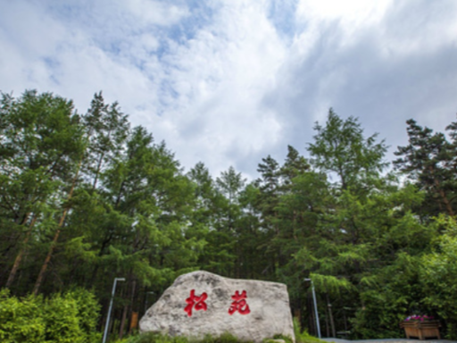 松苑公园