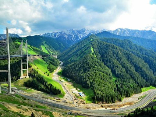 12Days Day7 果子沟