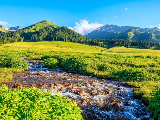 12Days Day9 那拉提草原