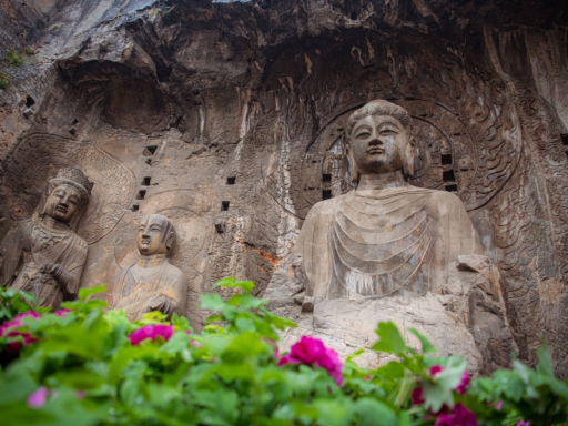 微信截图_20240527141619