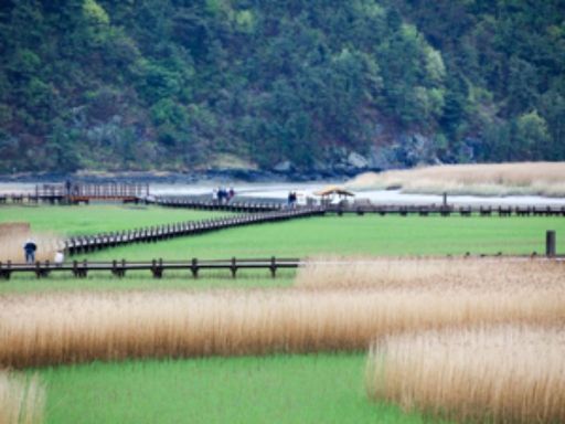 顺天湾湿地保护区