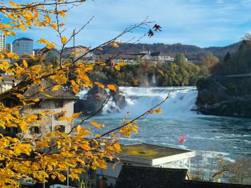 Rhine Falls 