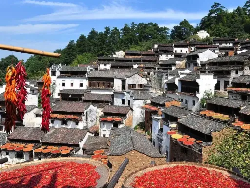篁岭晒秋
