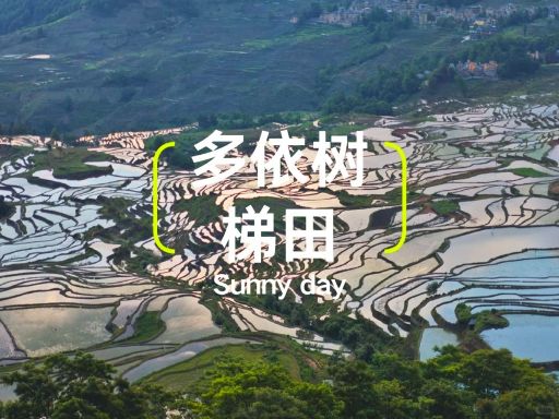 多依树梯田