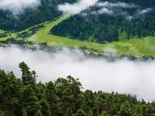 鲁朗林海