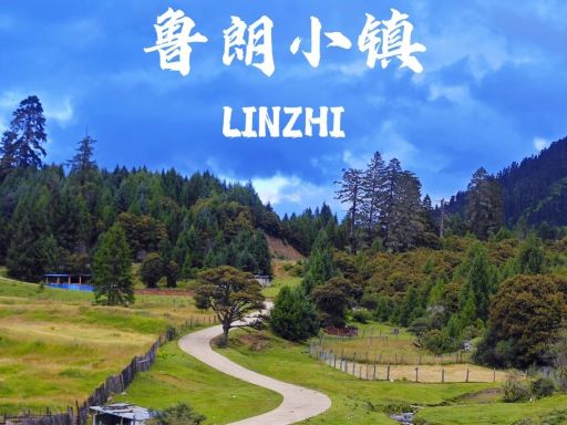 西藏鲁朗｜把灵魂留在“东方瑞士”_1_五哥视界_来自小红书网页版