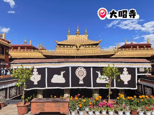 拉萨行：布达拉宫-羊湖-日托寺-大昭寺_14_其叶蓁蓁_来自小红书网页版