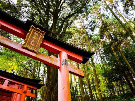 Fushimi Inari Taisha.