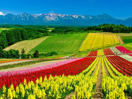 Shikisai-no-oka Park