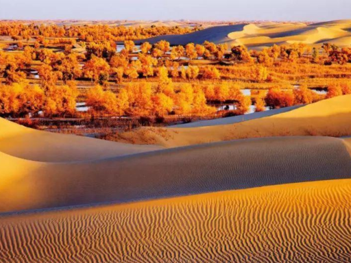 塔克拉玛干沙漠1