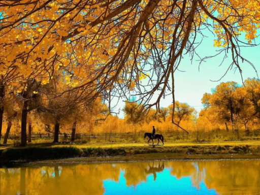 泽普金湖杨国家森林公园3