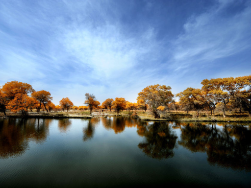 泽普金湖杨国家森林公园2