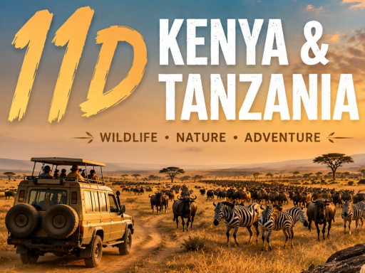 11 DAYS KENYA & TANZANIA ANIMAL MIGRATION