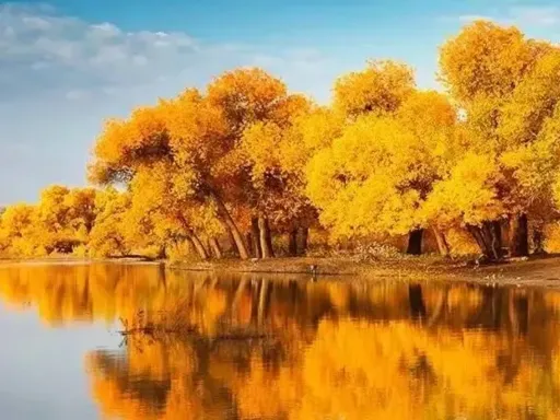 12D11N SOUTH XINJIANG GOLDEN AUTUMN POPULUS FOREST