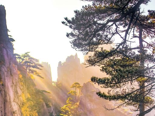 8天7晚  黄山+江西（上海进出）
