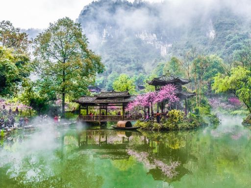 8D7N SHANDONG FLOWER VIEWING GROUP