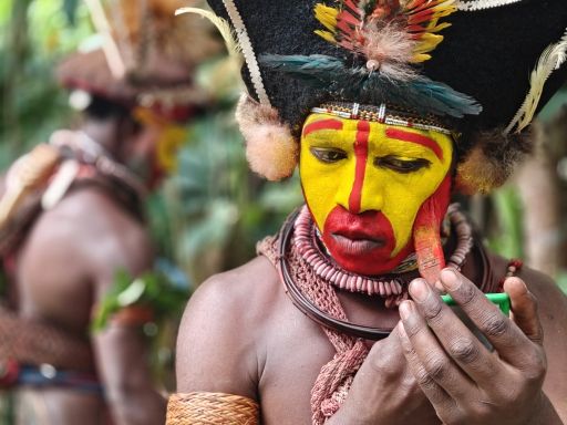 8D6N PAPUA NEW GUINEA 