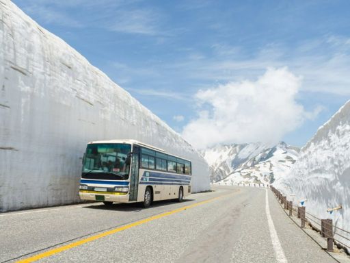 8D6N TATEYAMA ALPINE HIGHLIGHTS