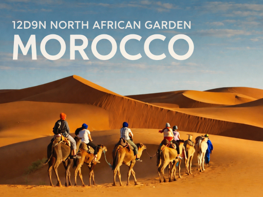 12D9N NORTH AFRICAN GARDEN MOROCCO